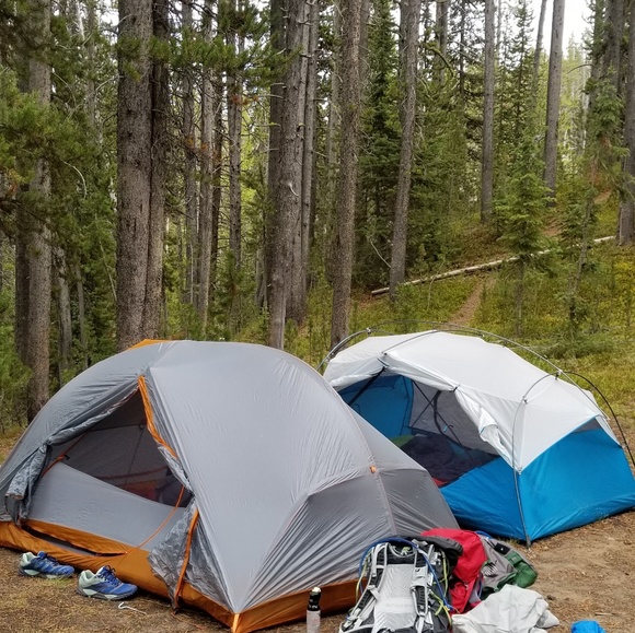 Meet your Posher, Sara - Picture 4 of 8